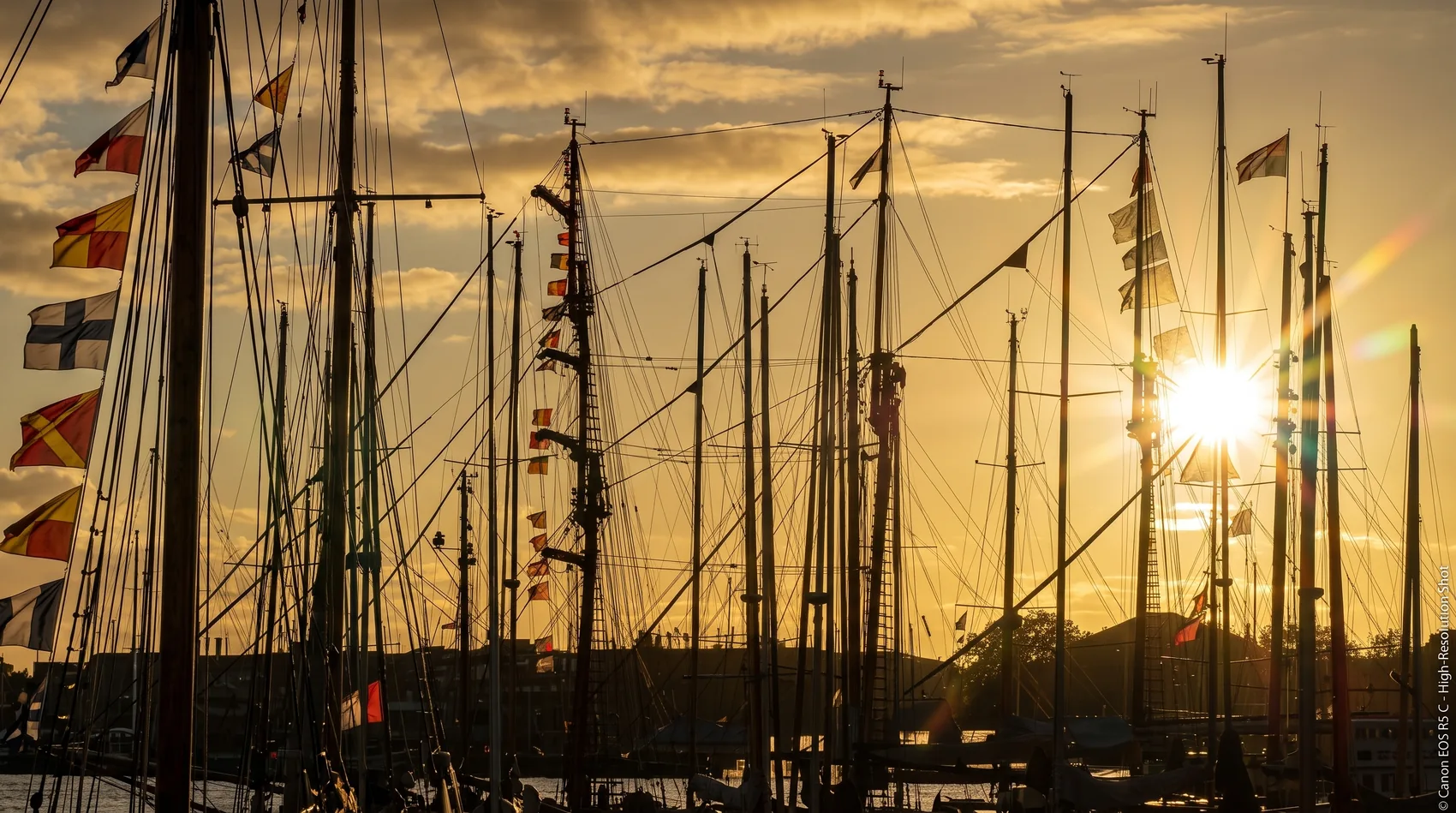 Mâts de voiliers au coucher du soleil, lors du Vendée Globe